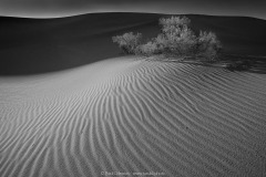 Mesquite Flat Dunes Death Valley