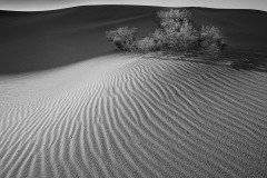 Mesquite Flat Dunes Death Valley