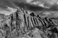 DSC09505