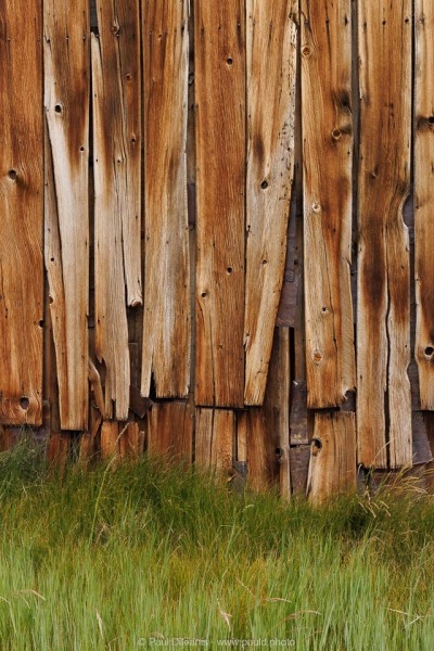 Weathered Boards and Grasses
