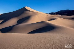 Sand Dunes at Sunrise