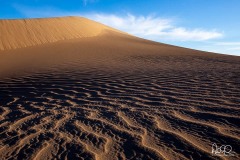 Dune details