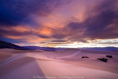 Sunset Mesquite Dunes