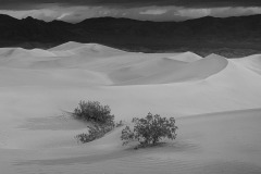 B&W Dunes at Sunrise