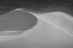 B&W Dunes at Sunrise