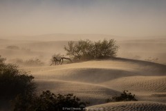 Wind and Sand