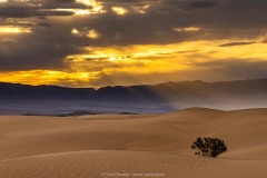 Dunes at Sunrise
