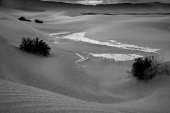 B&W Dunes at Sunrise B&W Dunes at Sunrise