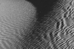 B&W Dunes