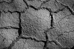 B&W Exposed Hardpan