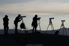 Photographers Photographers