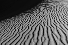 Dune Patterns Black and White