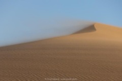 Sand Storm 1