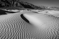 Dune Vortex B&W