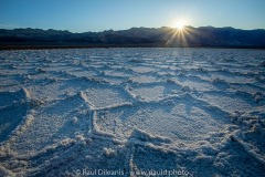 Salt Polygons