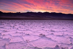 Salt Polygons