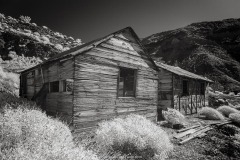 MG_7237-Edit MG_7237-Edit