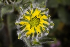GD_5114