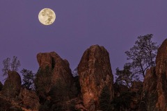 Moonset Eastern Pinnacles
