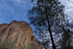 Monollith and Tree