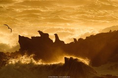 IMG_1282