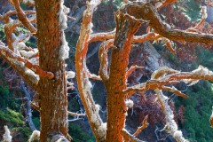 IMG_3308