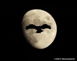 How to Photograph the Moon