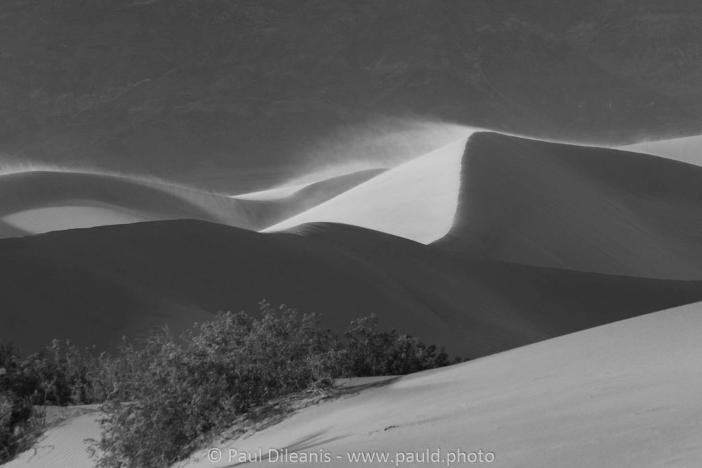 Sand dunes, desert, 