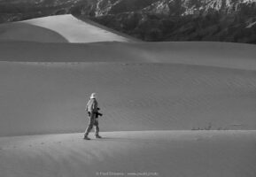 The Nature of Dunes – Capturing the ephemeral beauty of a changing landscape.