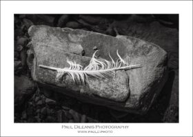 Questions Every Photographer Should Ask