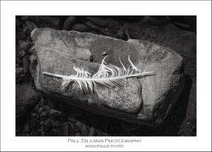 Questions Every Photographer Should Ask