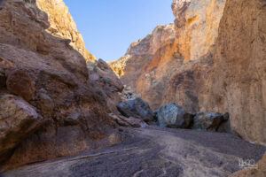 February 2026 Death Valley Scouting Trip
